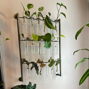 Hilton Carter Propagation station